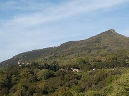 Agriturismo Bosco Pianetti