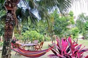 Eden Jungle Resort