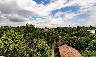 Eden Jungle Resort