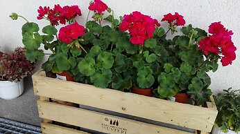 Kristinebergs Bed & Breakfast Mora