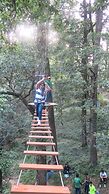 Ayar Jungle Resort
