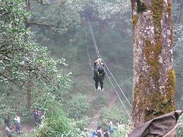 Ayar Jungle Resort