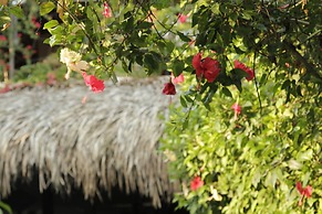 An Villa Hoi An