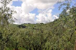 Il Forno