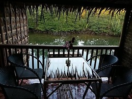 Mangroves & More