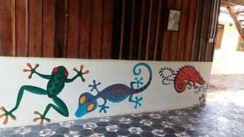 Mangroves & More