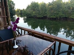 Mangroves & More