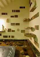 Astir Patras Hotel