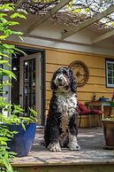 The Stella Rose B&B