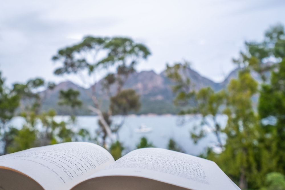 Freycinet Cottage 2