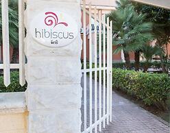 Hibiscus