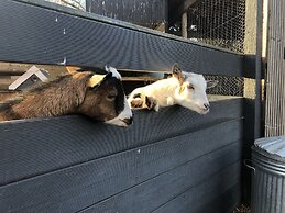 Willow Court Farm