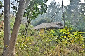 Jim's Jungle Retreat