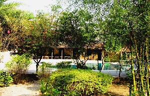 Jim's Jungle Retreat