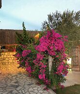 Temucin Hotel