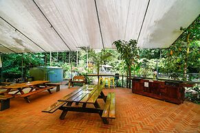 Safari Lodge