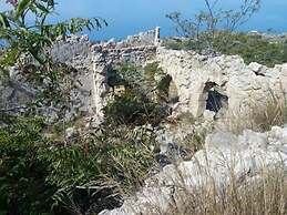 Daphnae House