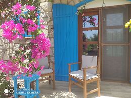 Kabuk Ev Pansiyon