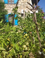 Kabuk Ev Pansiyon
