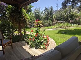 Kabuk Ev Pansiyon