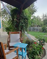 Kabuk Ev Pansiyon