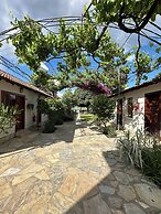Midas Pension