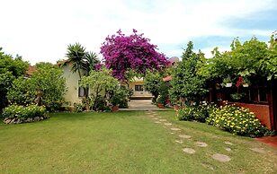 Midas Pension