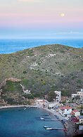 Porto kale