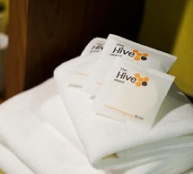 The Hive Chiang Mai
