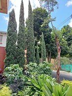 Hotel Lomas 10