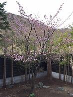 Hotel Kinwaso