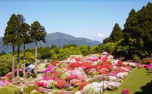 Hotel de Yama, Hakone Lake Side