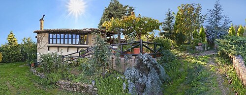 Ampelos Estate