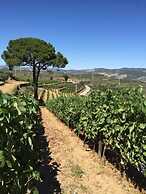 Quinta dos Espinheiros