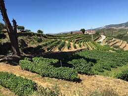 Quinta dos Espinheiros