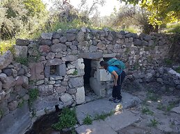 Alterna Koy Evi