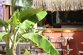 Yucca Alacati