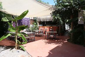 Yucca Alacati