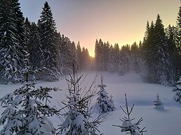 Au Coeur du Lapidaire