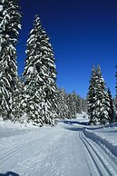 Au Coeur du Lapidaire