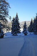 Au Coeur du Lapidaire