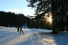 Au Coeur du Lapidaire