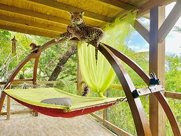 Maison d'hôtes Chez Adé Guadeloupe