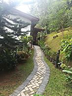 Marvel Hills Kandy