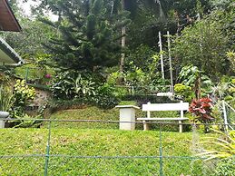 Marvel Hills Kandy