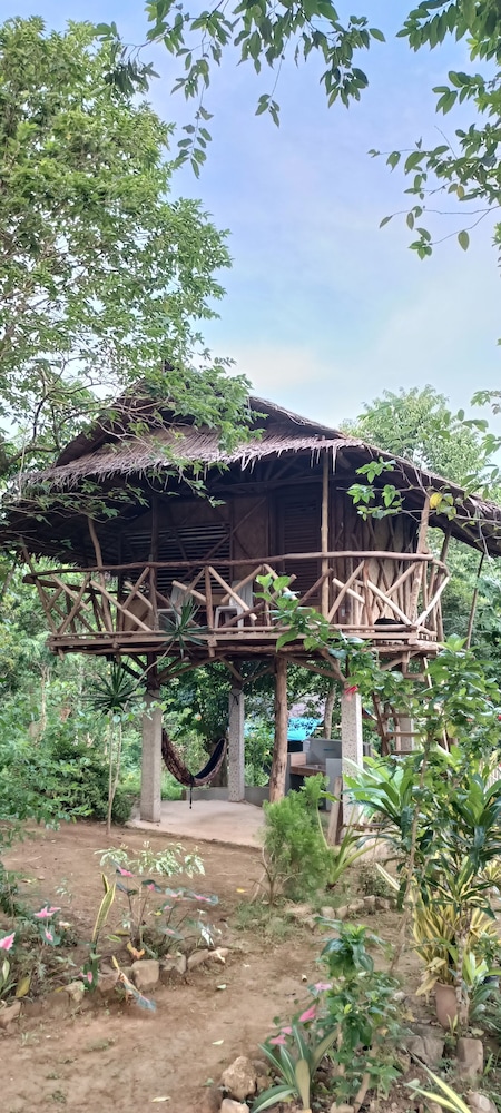 Erlittop Nature Lodge