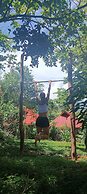 Erlittop Nature Lodge