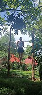 Erlittop Nature Lodge