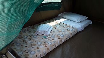 Engiri Game Lodge and Campsite