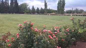 Complejo Río los Patos - Cabañas y Hostel